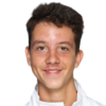 Dodig M