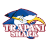 Trapani Shark